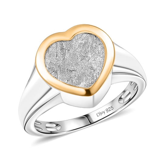 D'Joy Meteorit zweifarbiger Ring und Anhänger