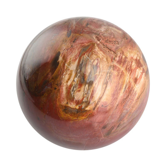 Gem Crystal Kollektion - Versteinerte Holz Sphäre 2-3 cm - L, ca. 2000 cts.