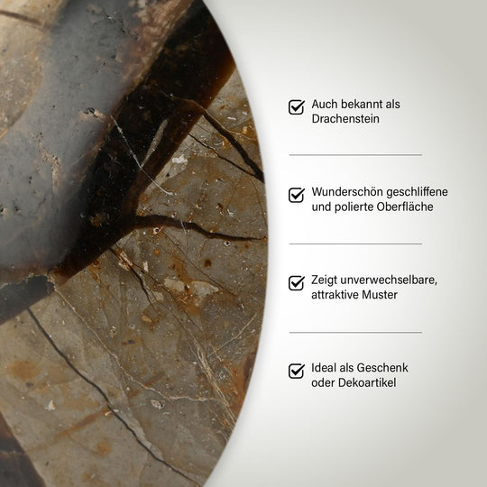 Gem Crystal Kollektion - Septarian Sphäre 3-4 cm - S, ca. 3750 cts.