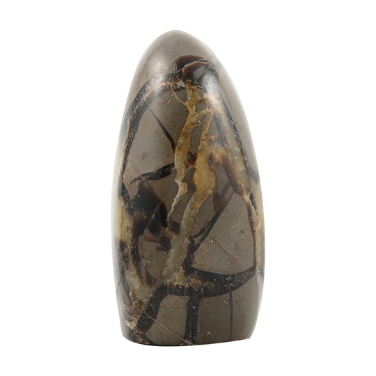 Gem Crystal Kollektion - Septarian - M, ca. 1750 cts.