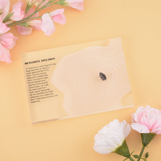 Gem Crystal Kollektion - Echter Muonionalusta Meteorit in Geschenkverpackung für Sammler