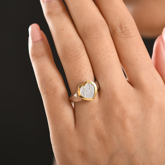 D'Joy Muonionalusta Meteorit Ring 925 Silber Rhodiniert und 750 Gelbgold Vermeil (Größe 19.00) ca. 8.16 ct