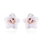 9 Paar Ohrstopper Set Stern, 925 Silber Kern mit Silikon, Mix rhodiniert vergoldet rosévergoldet