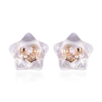 9 Paar Ohrstopper Set Stern, 925 Silber Kern mit Silikon, Mix rhodiniert vergoldet rosévergoldet