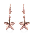 Stern-Ohrringe, 925 Silber rosévergoldet ca. 3,13g