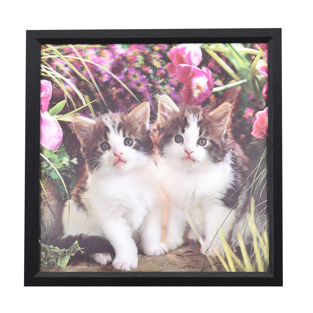 Realistisches 5D Katzen-Gemälde, Größe 43,5x43,5x1,2 cm, Mehrfarbig