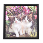 Realistisches 5D Katzen-Gemälde, Größe 43,5x43,5x1,2 cm, Mehrfarbig