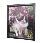 Realistisches 5D Katzen-Gemälde, Größe 43,5x43,5x1,2 cm, Mehrfarbig