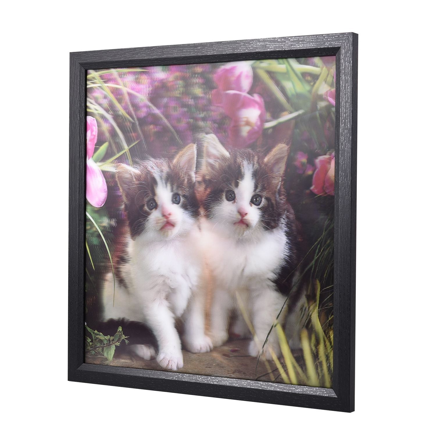 Realistisches 5D Katzen-Gemälde, Größe 43,5x43,5x1,2 cm, Mehrfarbig