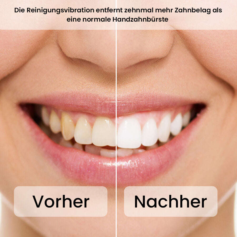2er-Set elektrische Zahnbürste mit 2 Reisetaschen und 8 Bürstenköpfe, Schwarz und Rosa