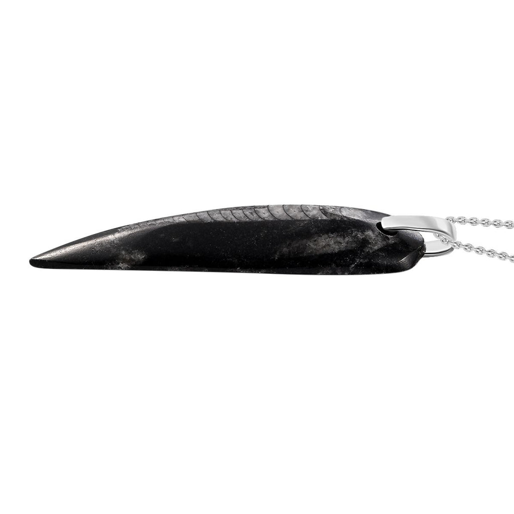 Orthoceras Schmuckset 925 Silber und Edelstahl ca. 100,00 ct.