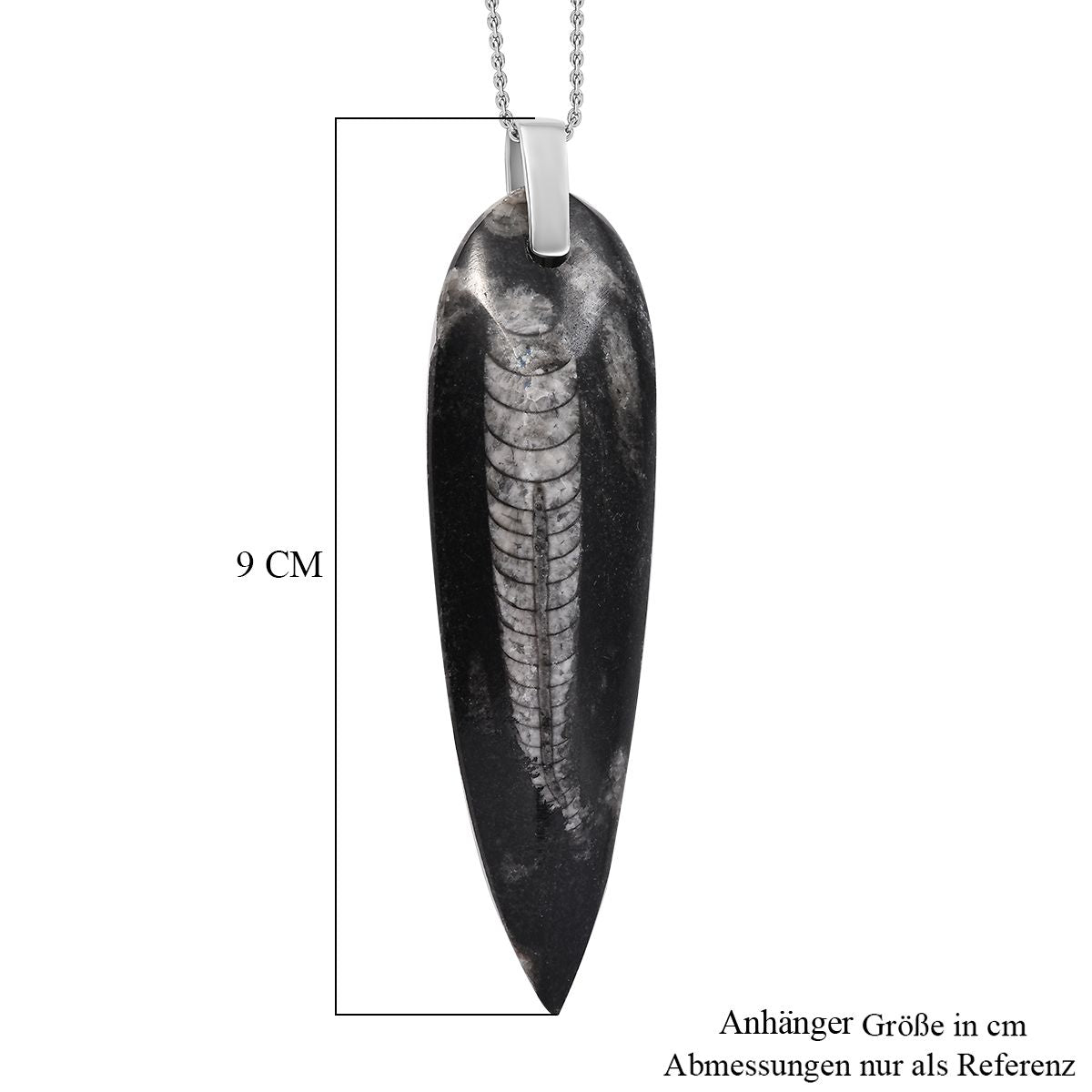 Orthoceras Schmuckset 925 Silber und Edelstahl ca. 100,00 ct.