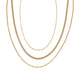 IP Goldfarben