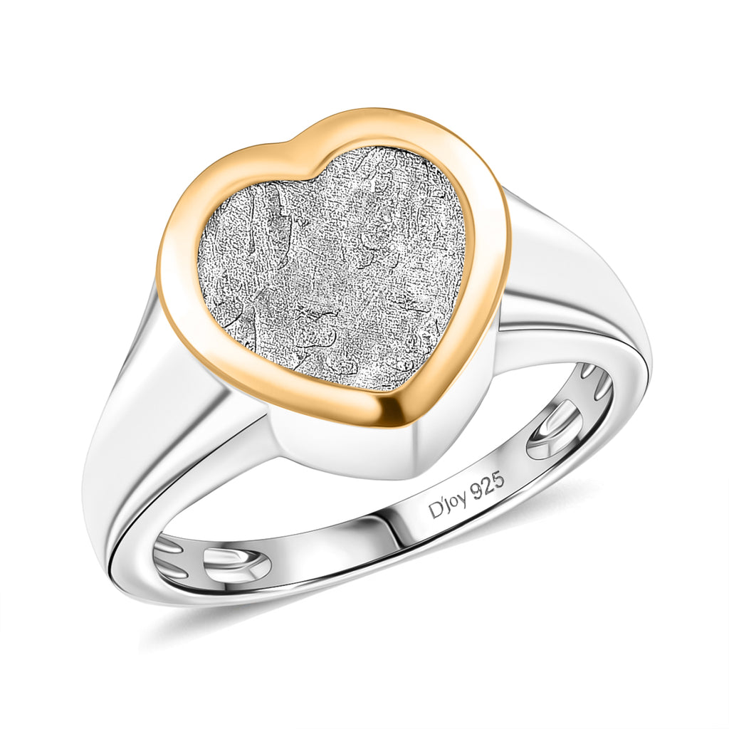 D'Joy Meteorit zweifarbiger Ring und Anhänger
