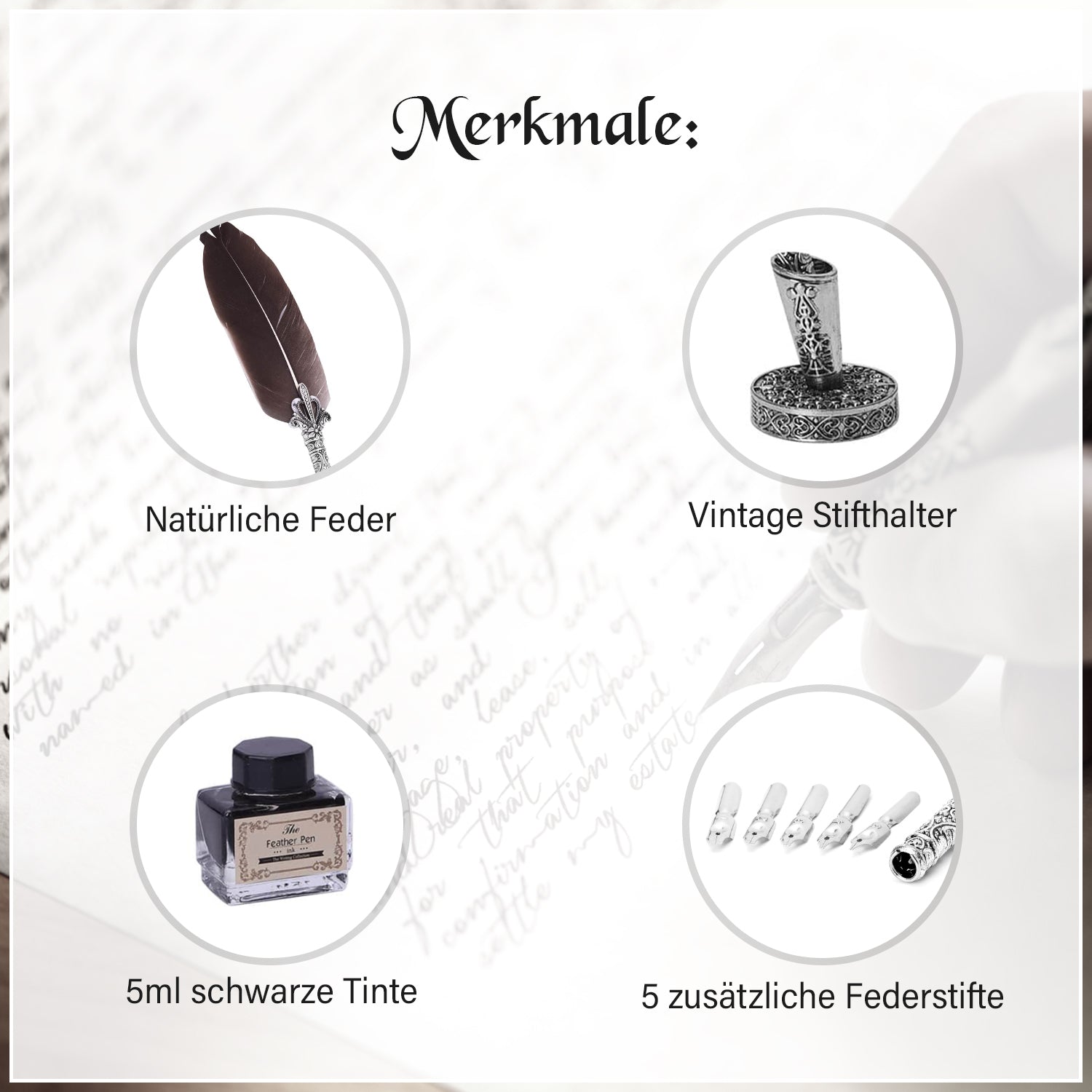 Federstift Geschenkbox, schwarz feder