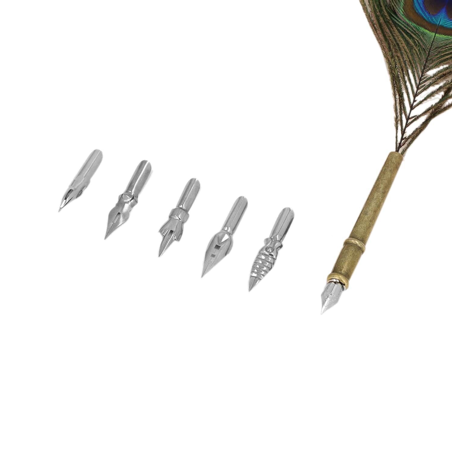 Federstift-Geschenkset in stilvoller Box, Pfaufeder