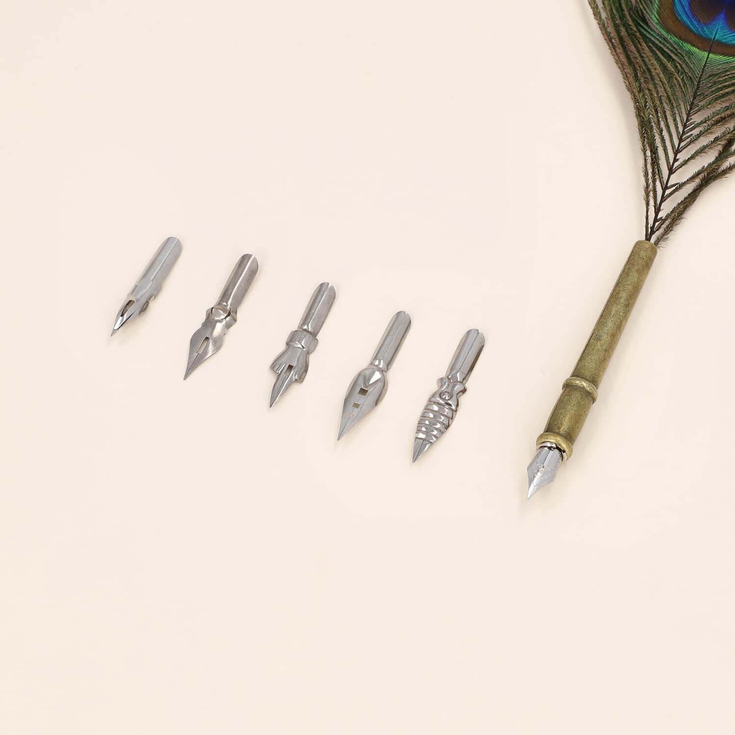 Federstift-Geschenkset in stilvoller Box, Pfaufeder