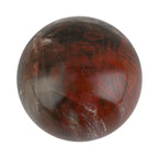 Versteinerte Holz Sphäre 2-3 cm - S, ca. 1000 cts.