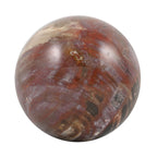 Gem Crystal Kollektion - Versteinerte Holz Sphäre 2-3 cm - M, ca. 1500 cts.