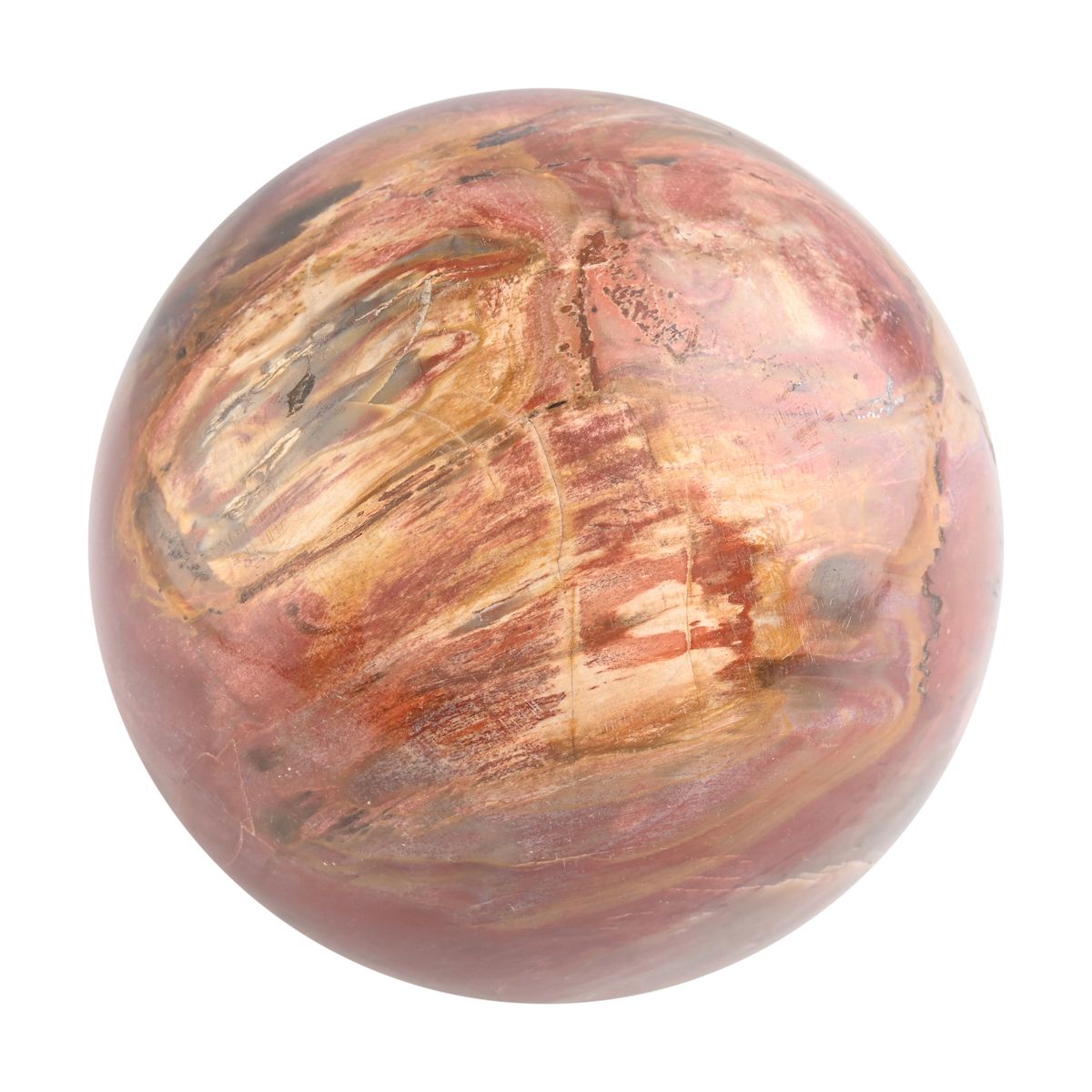 Gem Crystal Kollektion - Versteinerte Holz Sphäre 2-3 cm - L, ca. 2000 cts.