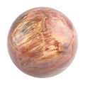 Gem Crystal Kollektion - Versteinerte Holz Sphäre 2-3 cm - L, ca. 2000 cts.