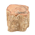Gem Crystal Kollektion - Versteinertes Holz - S, ca. 2000 cts.