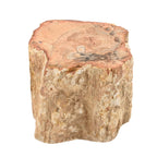Gem Crystal Kollektion - Versteinertes Holz - S, ca. 2000 cts.