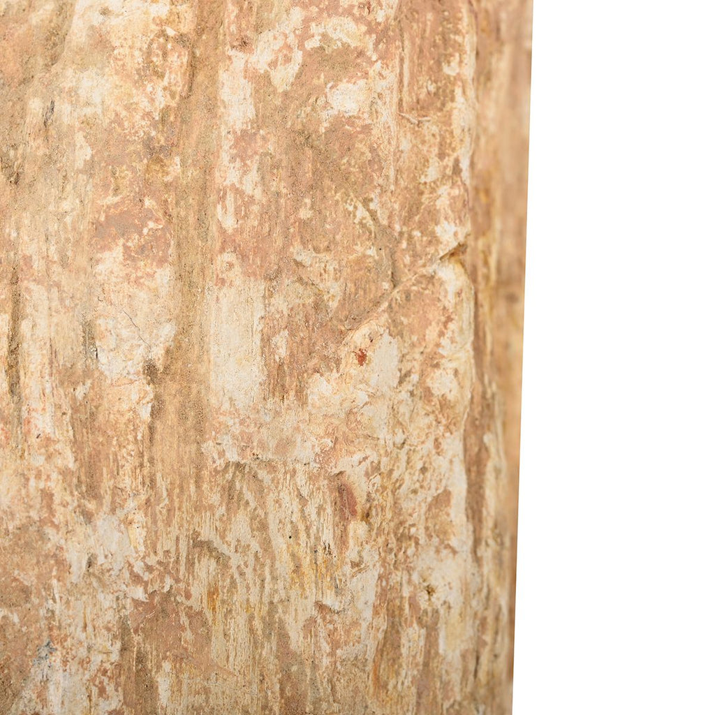 Gem Crystal Kollektion - Versteinertes Holz - S, ca. 2000 cts.