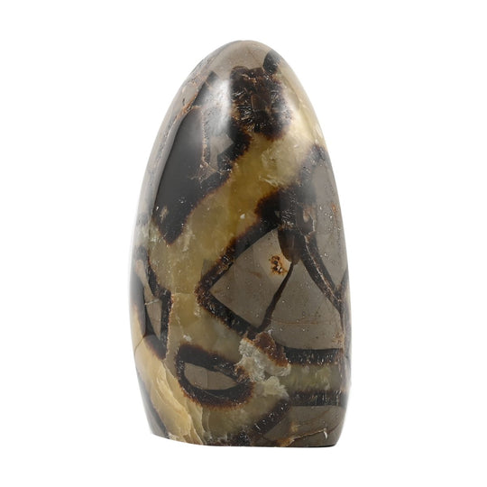 Gem Crystal Kollektion - Septarian - M, ca. 1750 cts.