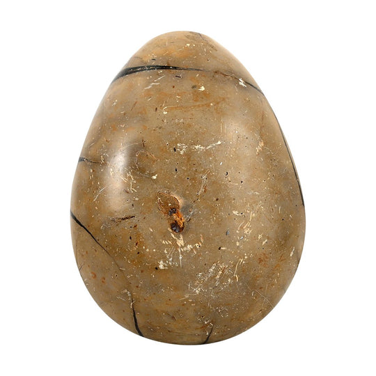 Gem Crystal Kollektion - Septarian Drachen-Ei, 3-4 cm - M, ca. 2000 cts.
