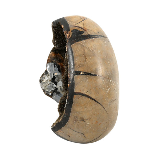 Gem Crystal Kollektion - Septarian Drachen-Ei, 3-4 cm - M, ca. 2000 cts.