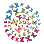 Set mit 48 bunten 3D-Magnet-Schmetterlingen und 48 doppelseitigen Klebebändern