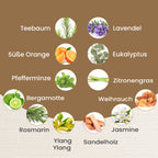 The 5th Season - 12er-Set ätherische Massageöle, 10 ml