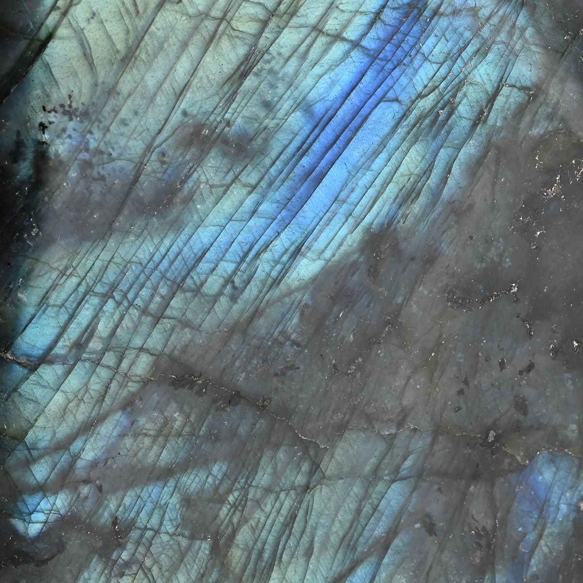 Gem Crystal Kollektion - Labradorit - XL, ca. 5000 cts.