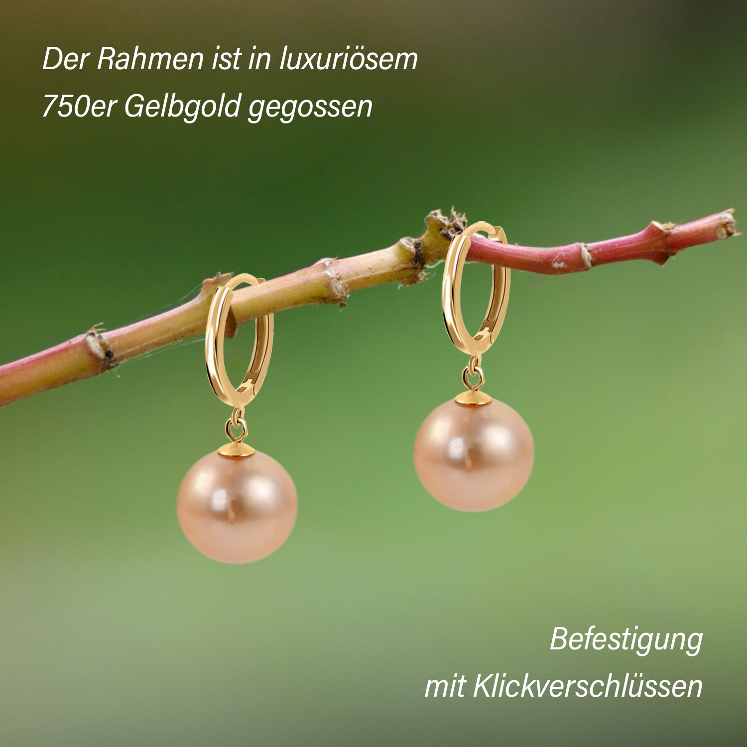 ILIANA - AAA Goldene Südsee Perlen Ohrringe, (10-11mm), 750 Gold