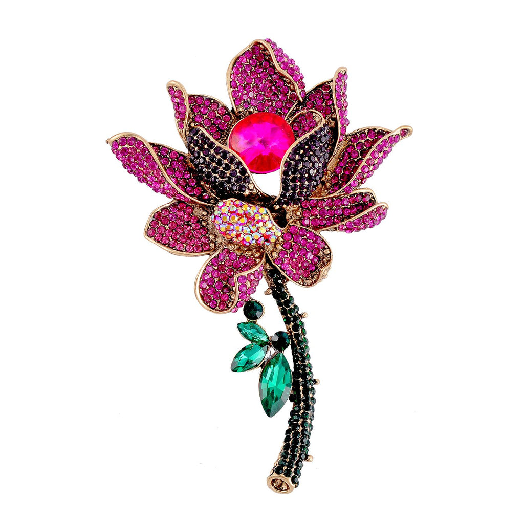 Rosa