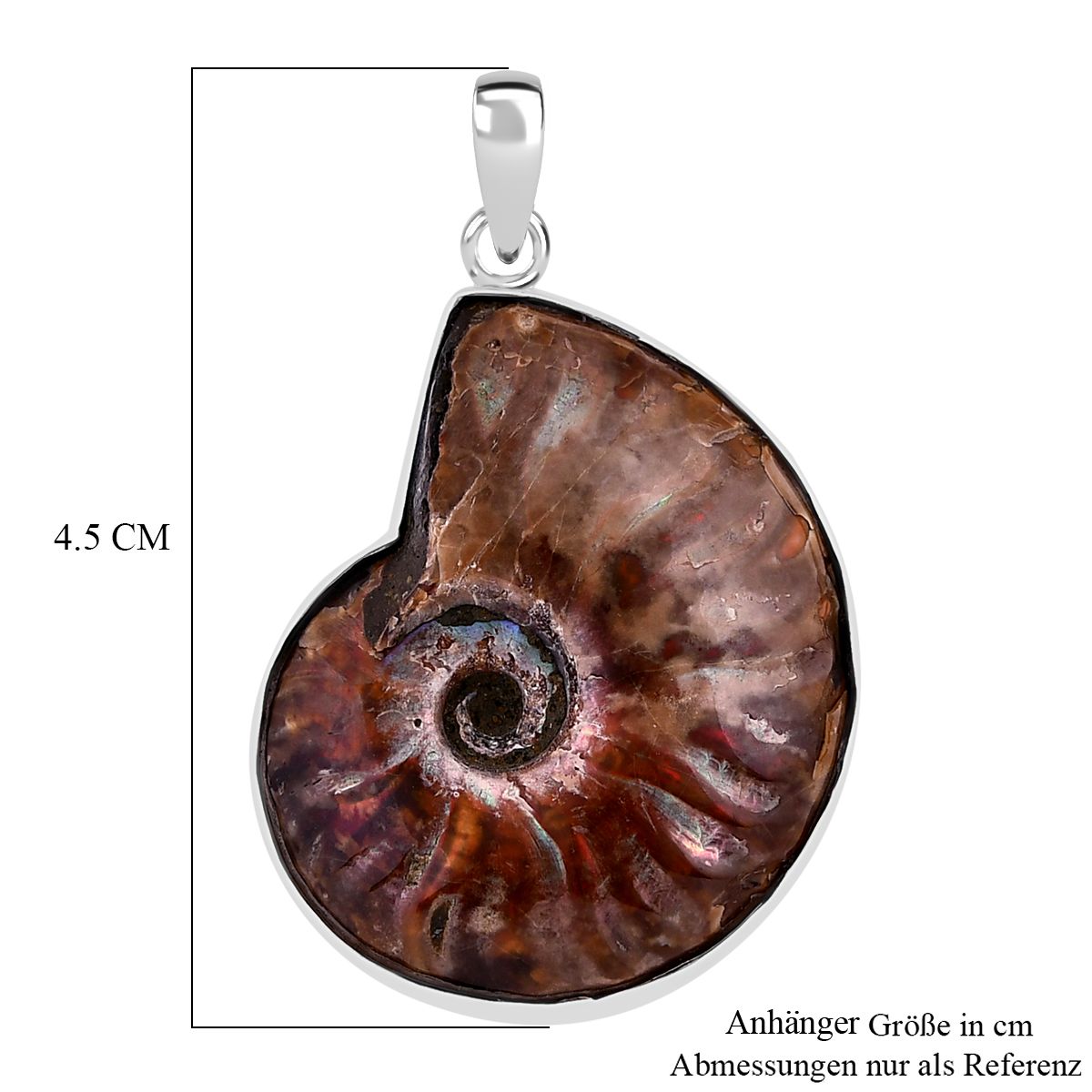 Ammonit Anhänger 925 Silber ca. 47,44 ct.
