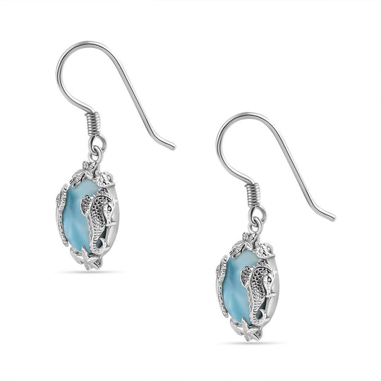 AA Larimar Ohrringe 925 Silber rhodiniert ca. 13.63 ct