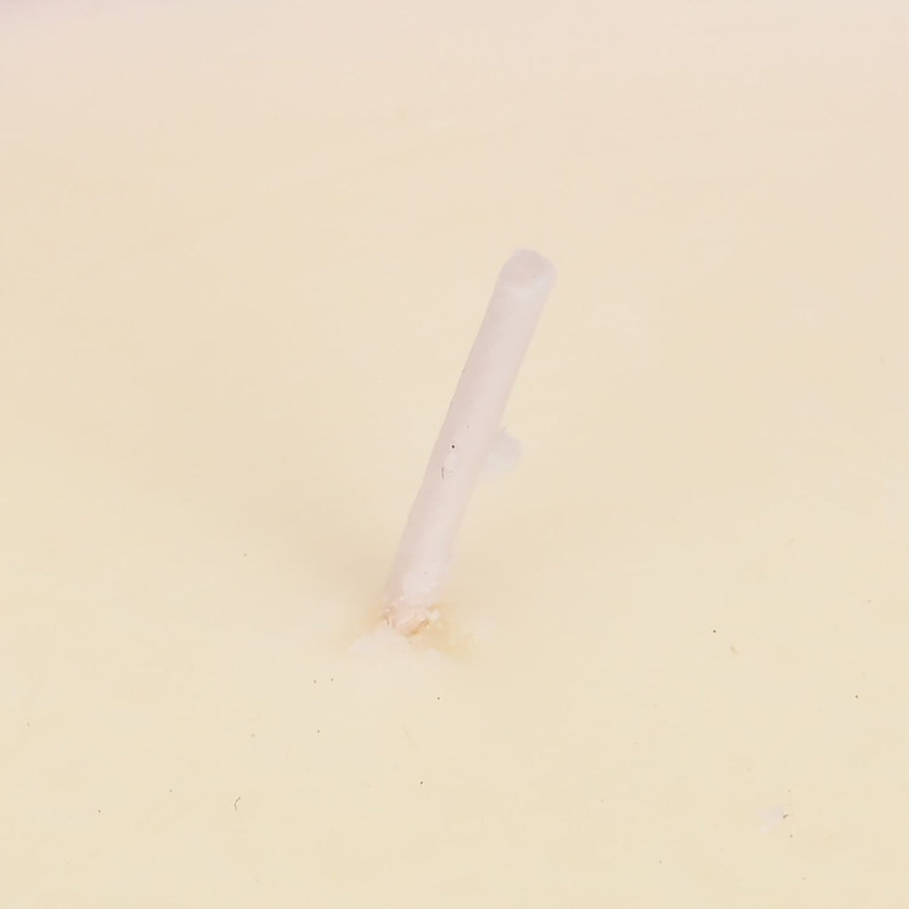 The 5th Season: Duftkerze im Glass, Rose und Jasmin, 6ml natürliches Öl, 200 g Wachs, 50 Stunden Brenndauer, Rose und Jasmin