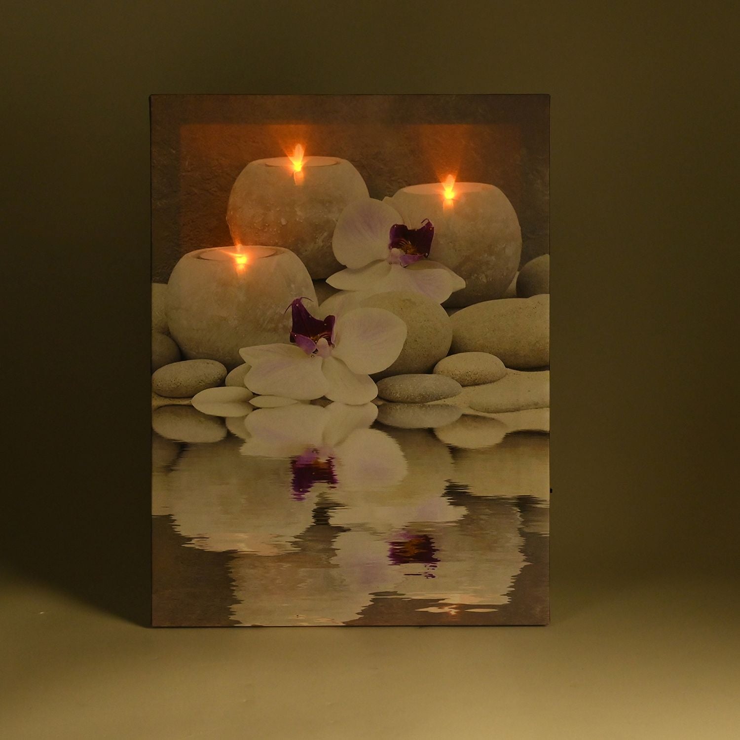 Weiße Orchidee