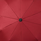Rot