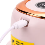 Elektrischer Mini-Knoblauch-Zerkleinerer mit USB-Aufladung, 350ml, 14,5 x 11?cm