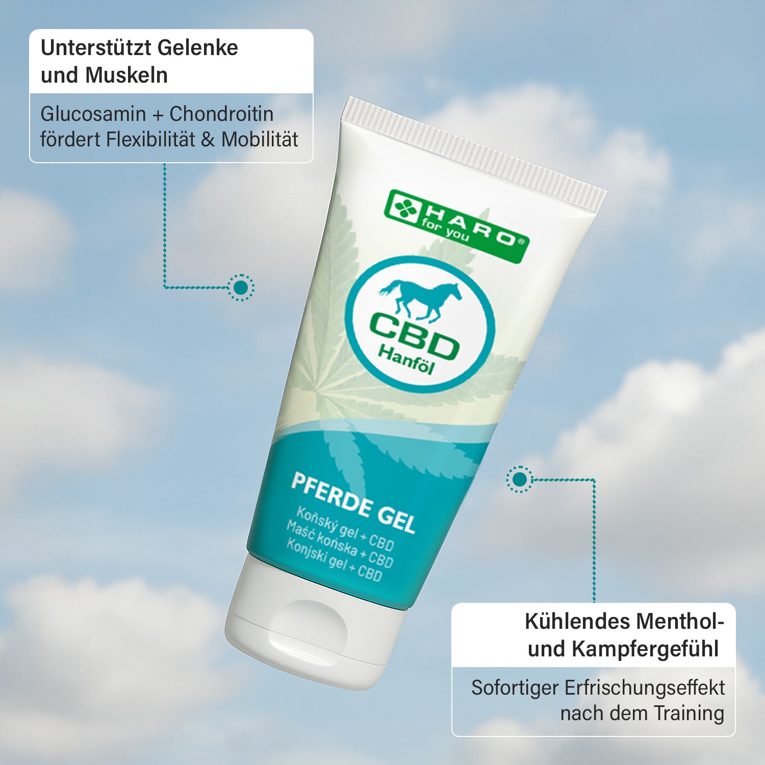 Pferdegel