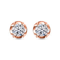 LUXURIANT I2 Labor Diamant Ohrringe, 925 Silber 750 Roségold Vermeil - 0,20 ct.