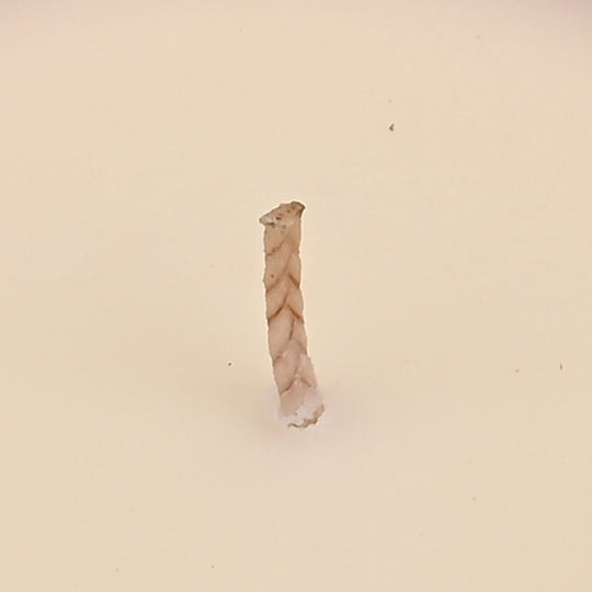 LIVMORE - Duftkerze im Glas mit Bienenmotiv,  24 Std. Brenndauer, 120g, 3,6 ml ätherisches Öl, Lavendel und Jasmin, Rosa
