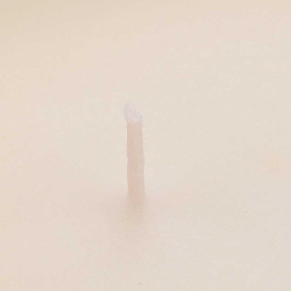 LIVMORE - Duftkerze Winterzauber-Design, 28 Std. Brenndauer, 150g, 4,5 ml ätherisches Öl, Lavendel und Jasmin, Flieder