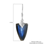 D'Joy AAA Labradorit Ohrringe 925 Silber rhodiniert ca. 26.40 ct