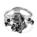 D'Joy Muonionalusta Meteorit, Schwarzer Spinell Ring 925 Silber rhodiniert (Größe 20.00) ca. 16.25 ct