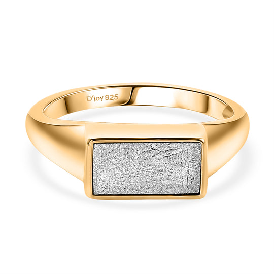 D'Joy Muonionalusta Meteorit Ring 925 Silber 750 Gelbgold Vermeil (Größe 21.00) ca. 7.78 ct