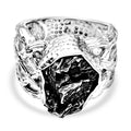 D'Joy Muonionalusta Meteorit Ring 925 Silber rhodiniert (Größe 18.00) ca. 21.00 ct